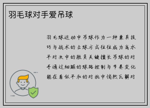 羽毛球对手爱吊球