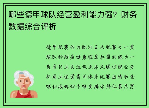 哪些德甲球队经营盈利能力强？财务数据综合评析